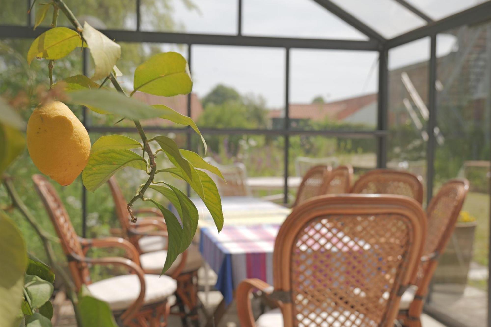 Bed and Breakfast Huset I Hejls Екстер'єр фото